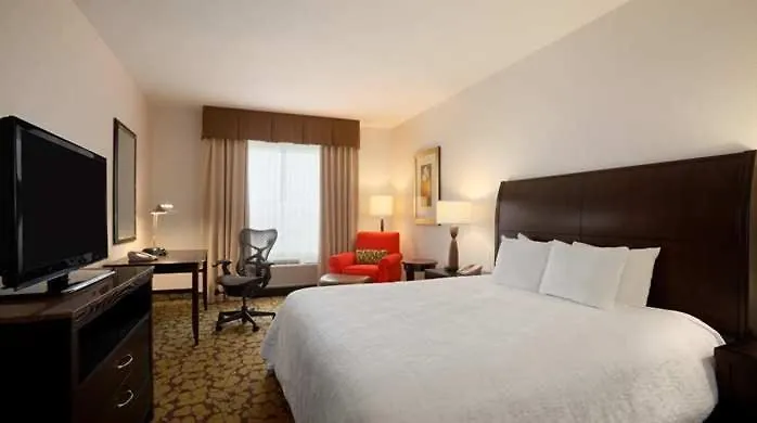 Hilton Garden Inn Edmonton International Airport Leduc